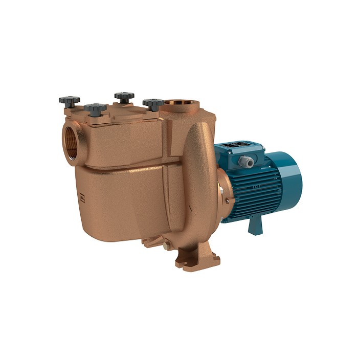 BNMP 32/12FE 0,55kW, 400V