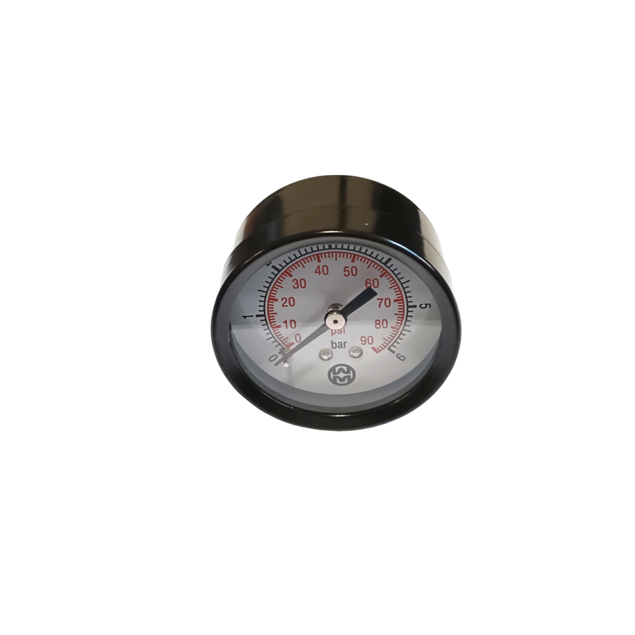 P50 0-6 bar rear G1/4"